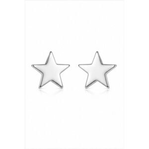Stainless Steel Star Earrings