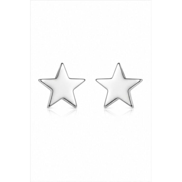 stainless steel star earrings - front view