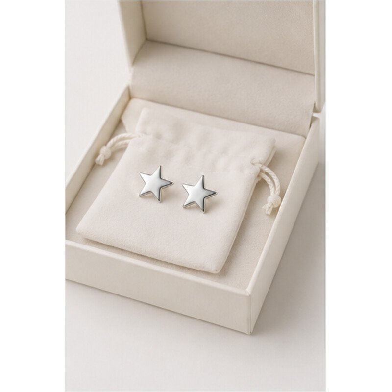 stainless steel star earrings - packaging view