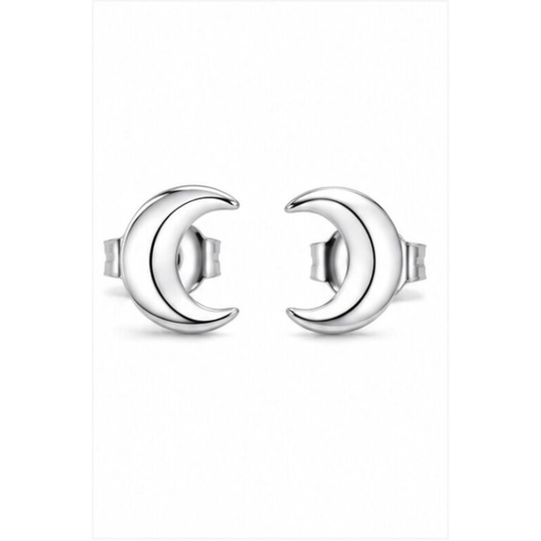 stainless steel moon earrings - front view