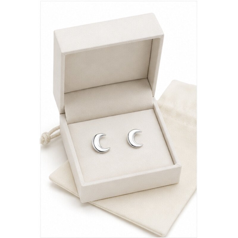 stainless steel moon earrings - packaging view