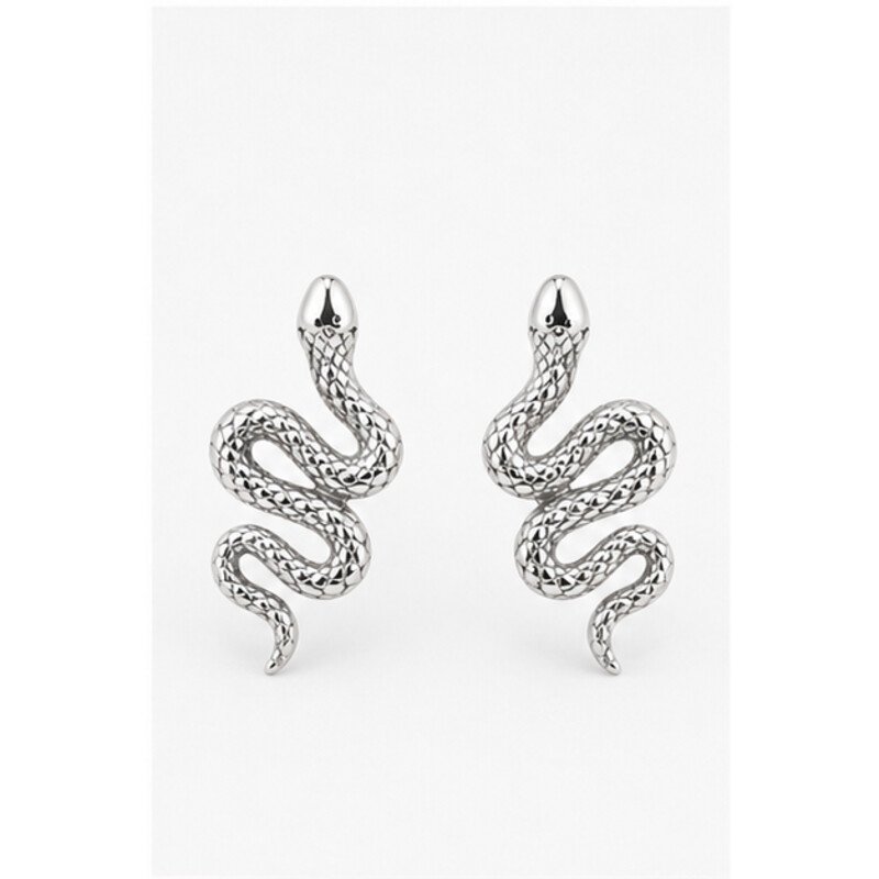 stainless steel snake earrings - front view