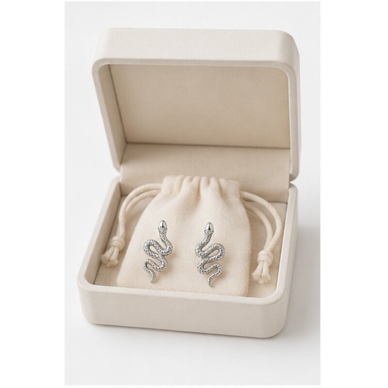 stainless steel snake earrings - packaging view