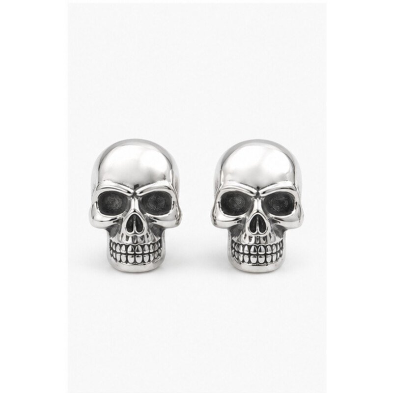 stainless steel skull earrings - front view