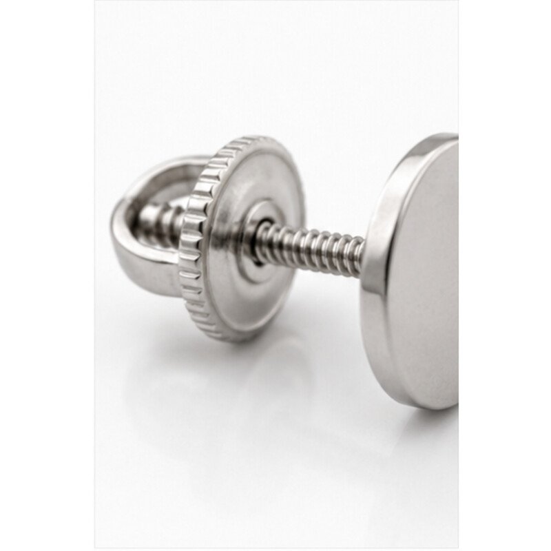 stainless steel screw back earrings - detail view