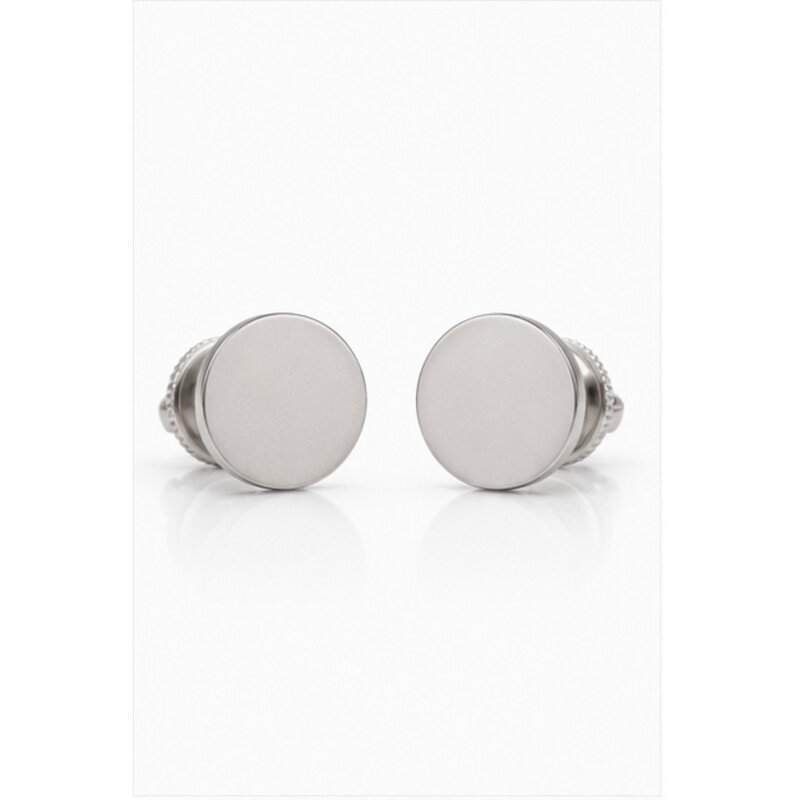 stainless steel screw back earrings - front view