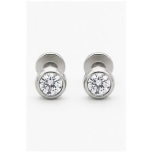 Stainless Steel Flat Back Earrings