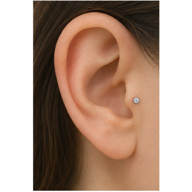 stainless steel tragus stud - model view