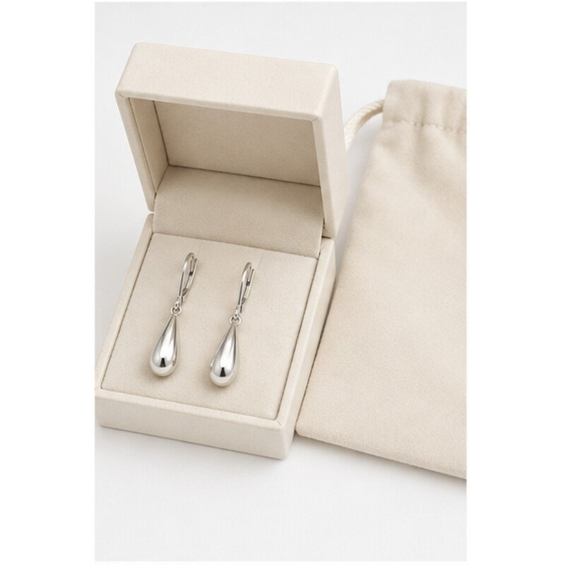 stainless steel drop earrings - packaging view