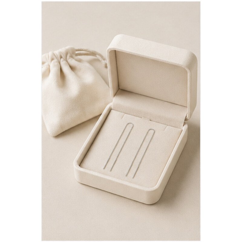 stainless steel dangle earrings - packaging view