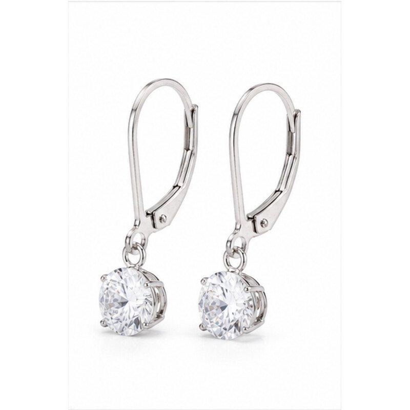 stainless steel leverback earrings - angle view