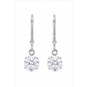 Stainless Steel Leverback Earrings