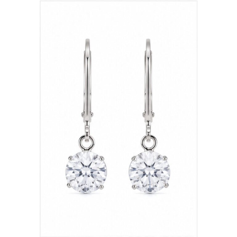 stainless steel leverback earrings - front view