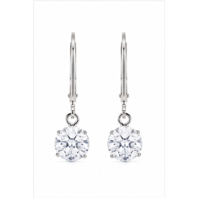 stainless steel leverback earrings - front view