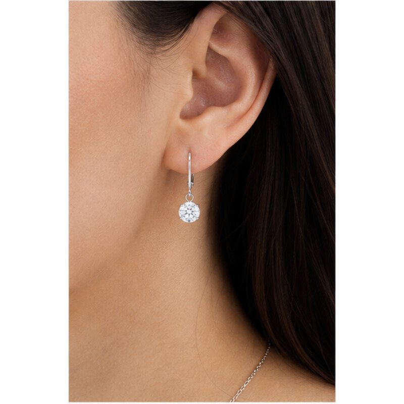 stainless steel leverback earrings - model view
