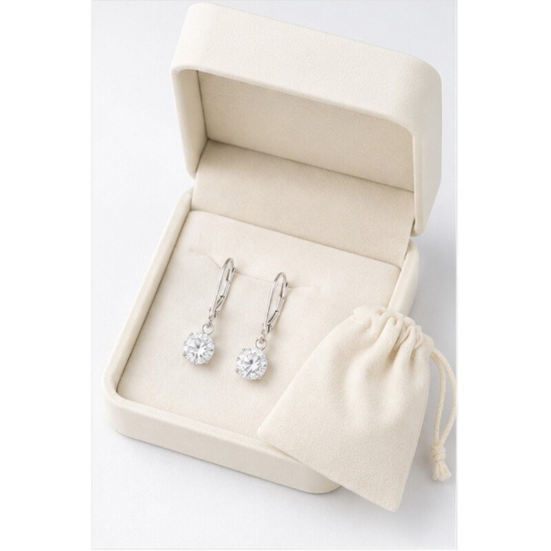 stainless steel leverback earrings - packaging view