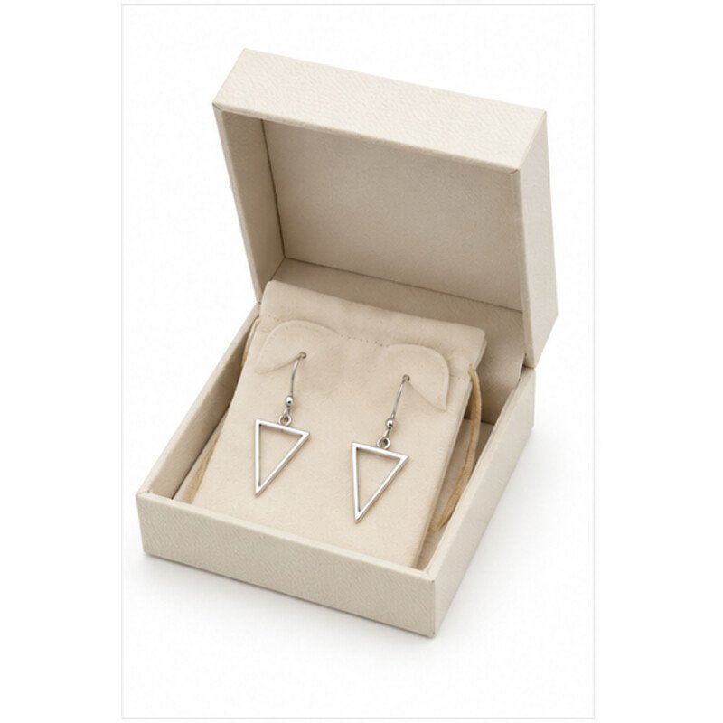 stainless steel geometric earrings - packaging view