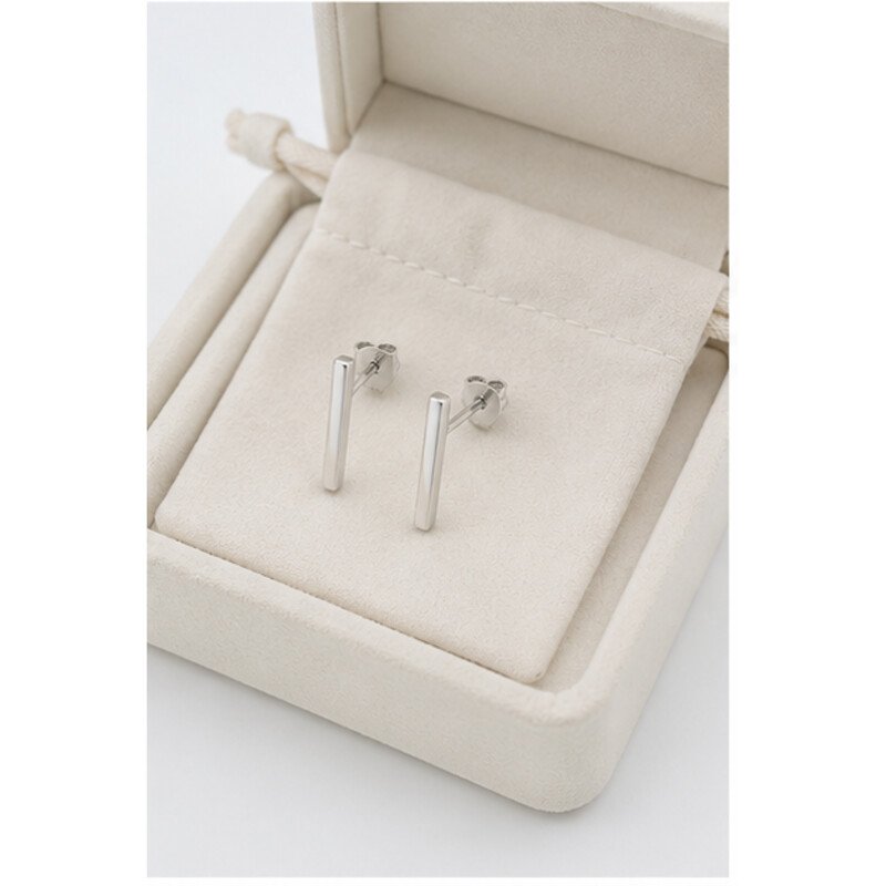 stainless steel bar earrings - packaging view