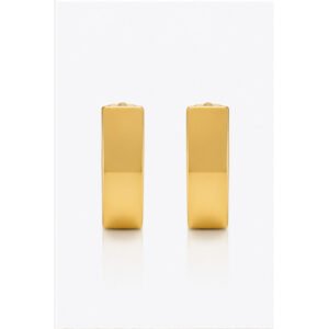 Mens Gold Stainless Steel Earrings