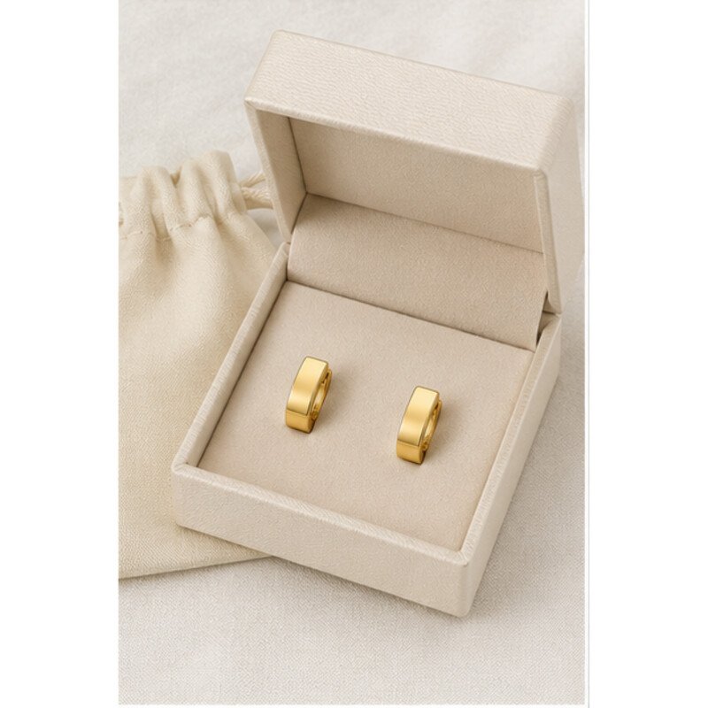 mens gold stainless steel earrings - packaging view