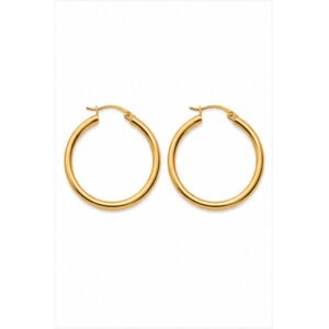 Gold Stainless Steel Hoop Earrings