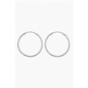 Stainless Steel Sleeper Earrings