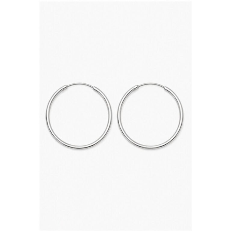 stainless steel sleeper earrings - front view