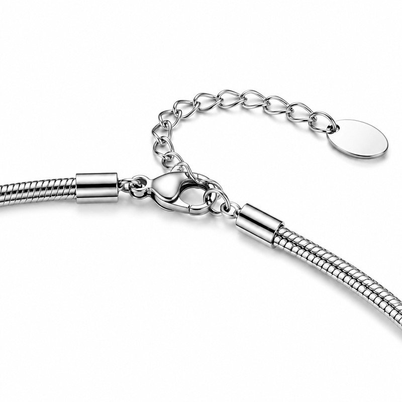 Stainless steel snake chain lobster clasp, extender, blank tag and end-cap structure detail