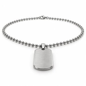 Men’s Silver Stainless Steel Brushed Dog Tag Necklace